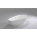Акриловая ванна Black&White SWAN SB106